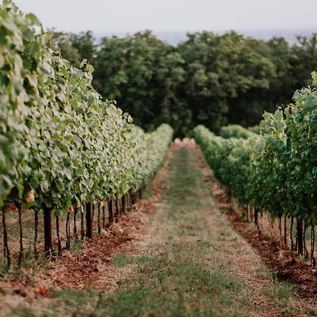 Ξενοδοχείο Alle Acque 3*