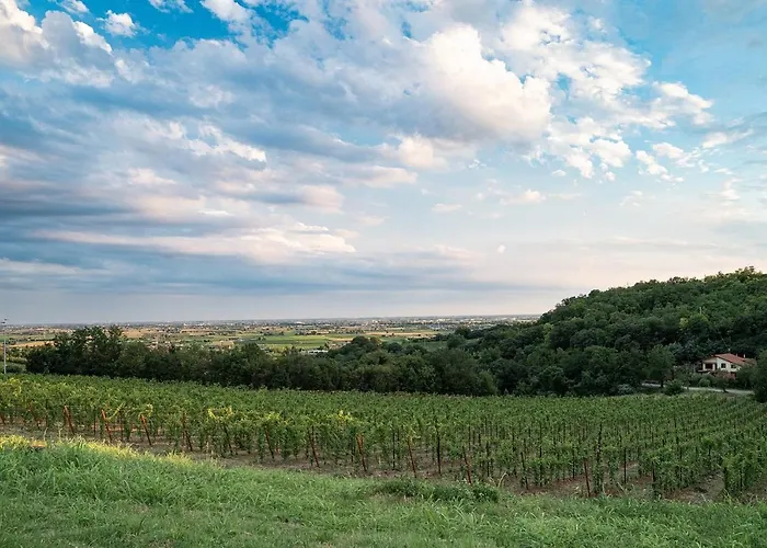 Hotel Alle Acque Lonigo
