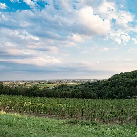 ホテル Alle Acque ロニーゴ